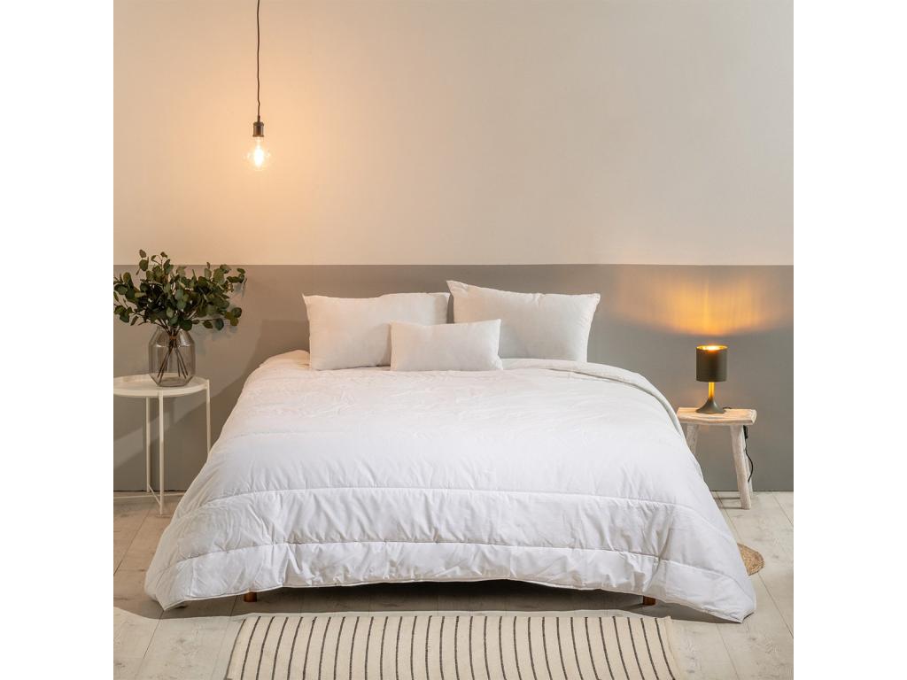 Couette chaude Anti-punaises de lit 200x200cm 17392AZUP