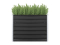 Lit surélevé de jardin Anthracite 100x40x77 cm Acier galvanisé 98237DVHN